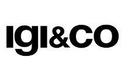 Кросівки Igi&co 56572/11
